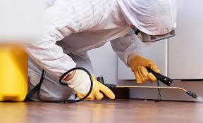 Best Fumigation Services  in Linden, NJ